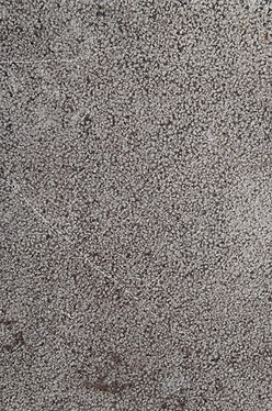 20250627_120443.jpg