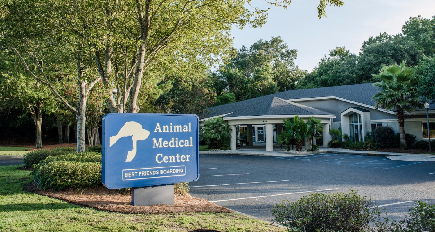 Animal Medical Center Mt. Pleasant