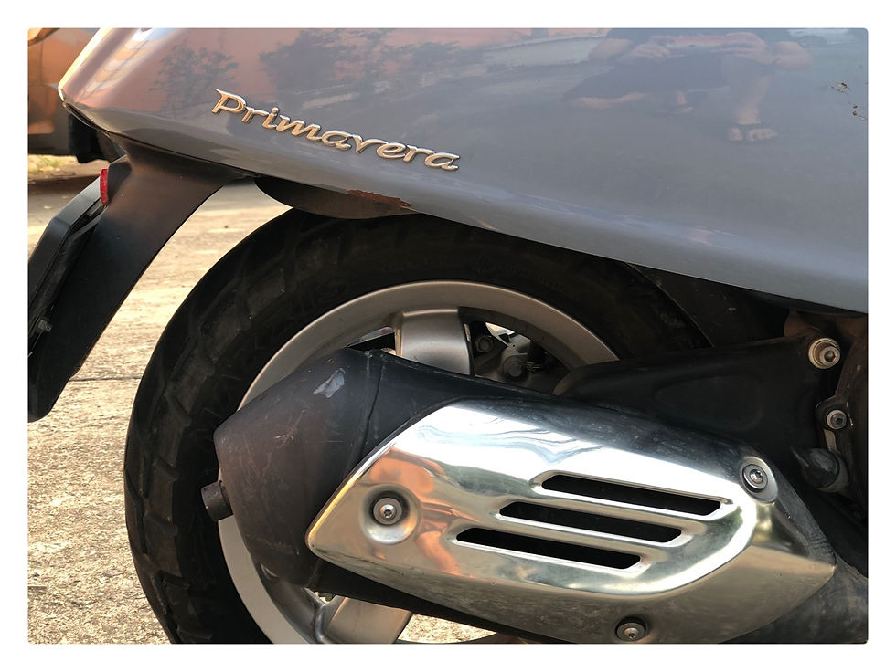 ภาพขนาดย่อ: New Primavera  125 3Vie 