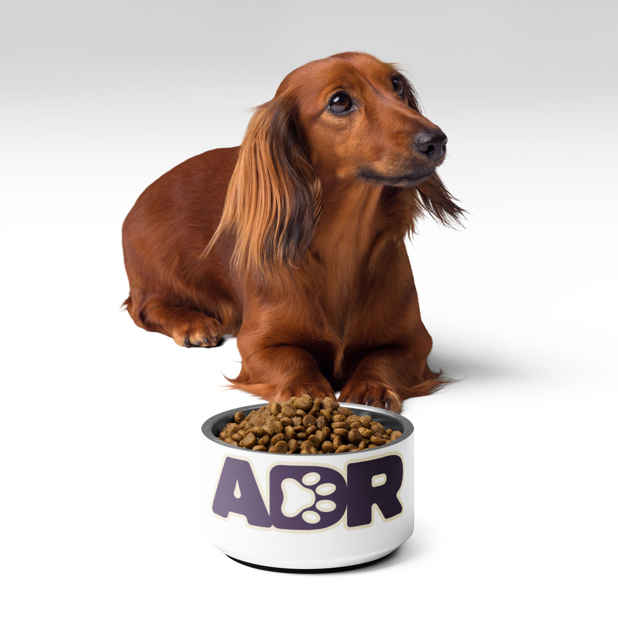 Pet bowl