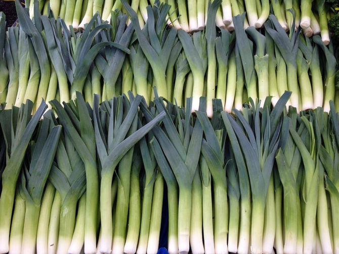 What's Fresh in February?