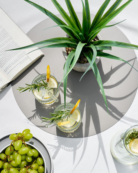 Aerial view showcasing an open book, two glasses of lemon and rosemary drink, green grapes, and a potted plant casting shadows—all artfully arranged on a white surface. This NW Photography scene captures the essence of modern simplicity with professional precision.