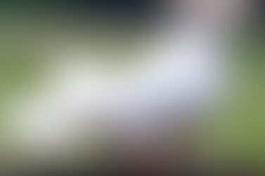 My Love, You Have Dove's Eyes