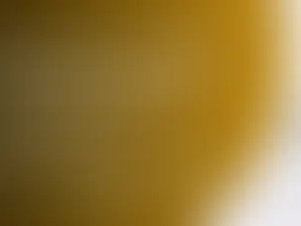 El nuevo boca a boca: cómo los grupos de WhatsApp superan a Facebook Ads