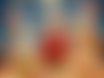 Entre Uvas y Estrellas: Descubre el Encanto del vino en Nochebuena.