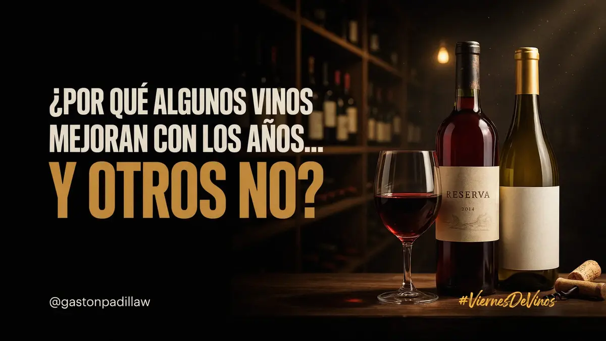 ¿Por qué algunos vinos mejoran con los años... y otros no?