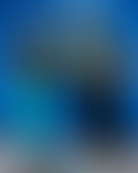 OUTLIFT ATHLETICS: FITNESS FREEDOM