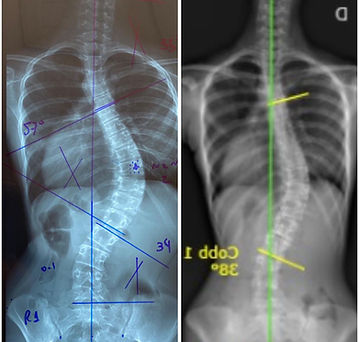 WhatsApp Image 2024-08-19 at 15.18.20.jpeg