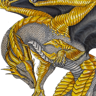 Spero_transparent 1.png