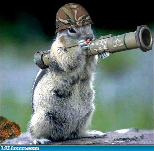 Warfare chipmunk