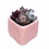 Thumbnail: Breathable Bloom Pot