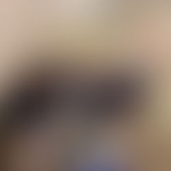 ND’s Annual Food Drive