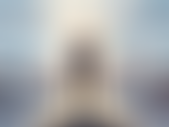 Experiencia o Ejecución