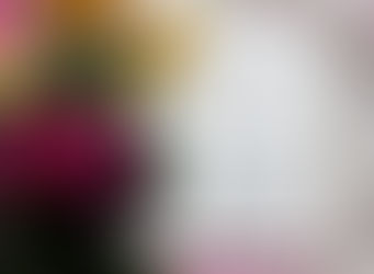 Publish Your Book Today in Dallas,  TX 75393