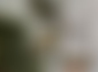 Write a Book in Dallas, TX 75389