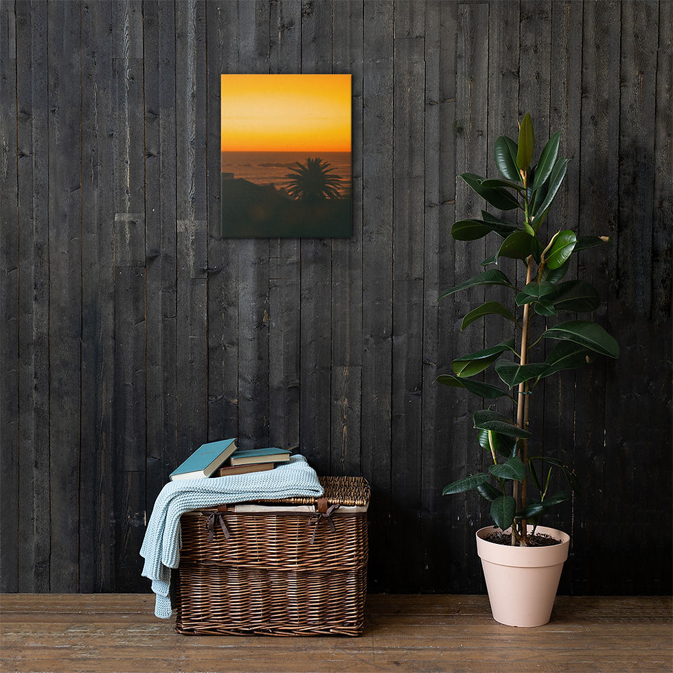Thumbnail: Canvas Print of a golden sunset in Cape Town. With the sun setting over the ocean and a palm tree in front Professional photo