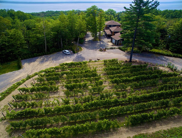 Domaine des 3 moulins