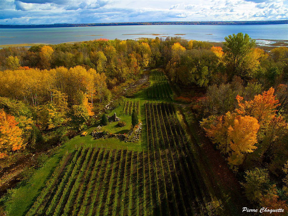 DJI_0022