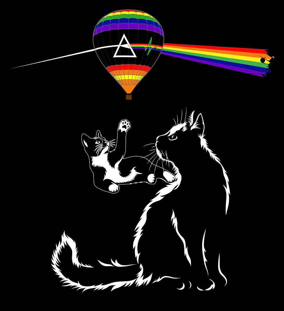 Thumbnail: Darkside 'For Cat Lovers' Tee