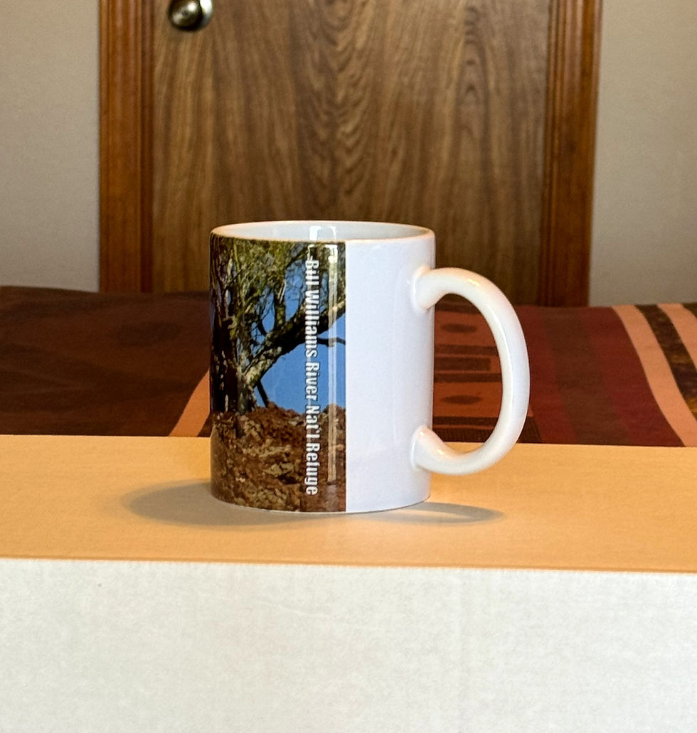 Thumbnail: left side of PLAN mug with blue heron nesting