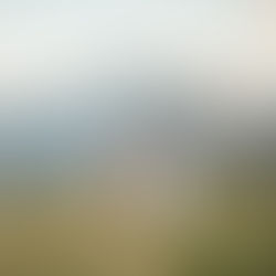 Wyoming elopement photographer, Double Diamond X wedding photographer