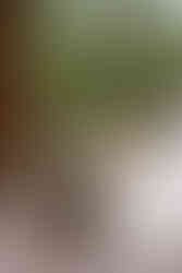 Big Sky elopement photographer, Big Sky wedding photographer, Summer wedding at Big Sky Resort, Bozeman wedding photographer, Bozeman elopement photographer, Montana wedding photographer, Montana elopement photographer, Montana mountain wedding photographer