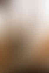 Big Sky elopement photographer, Big Sky wedding photographer, Summer wedding at Big Sky Resort, Bozeman wedding photographer, Bozeman elopement photographer, Montana wedding photographer, Montana elopement photographer