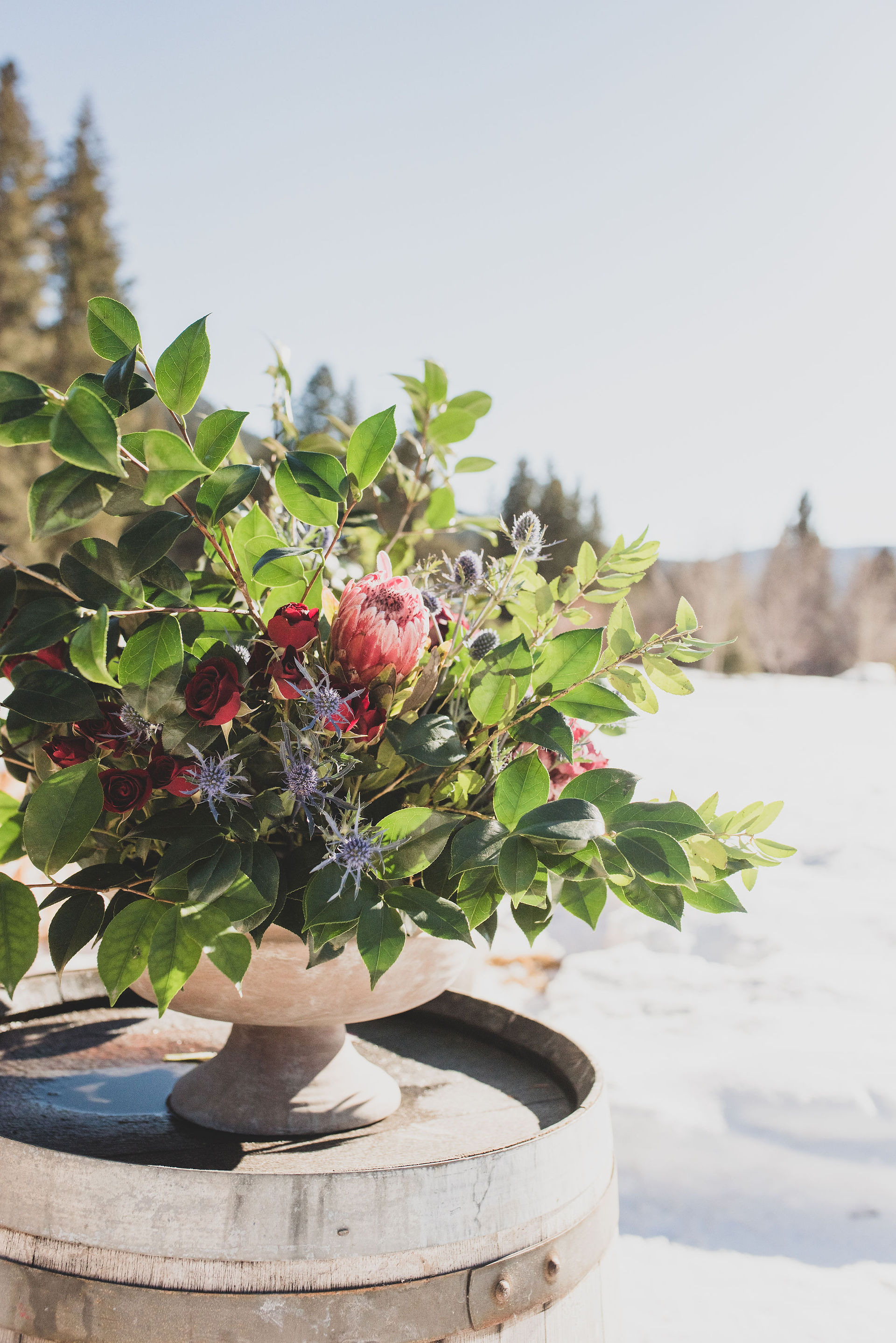 Rainbow Ranch winter wedding, Big Sky Montana wedding photographer, Big Sky Montana wedding planner