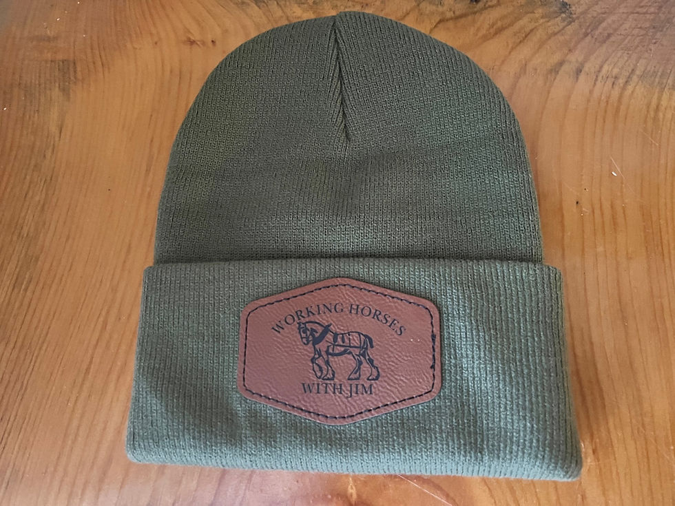 Thumbnail: Winter Hat with Leather Logo