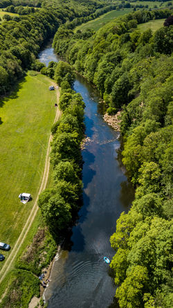 River Portrait 1.jpg
