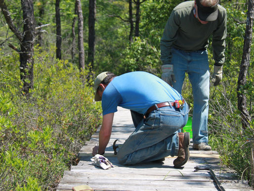 Ted Wells Trail work party