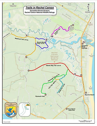 Trails in Rachel Carson.JPG
