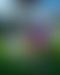 The Countdown Has Begun (and the Dice Are Ready to Roll)