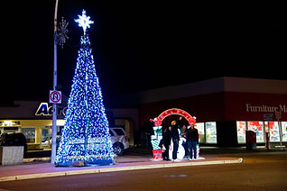 Christmas Tree Lights