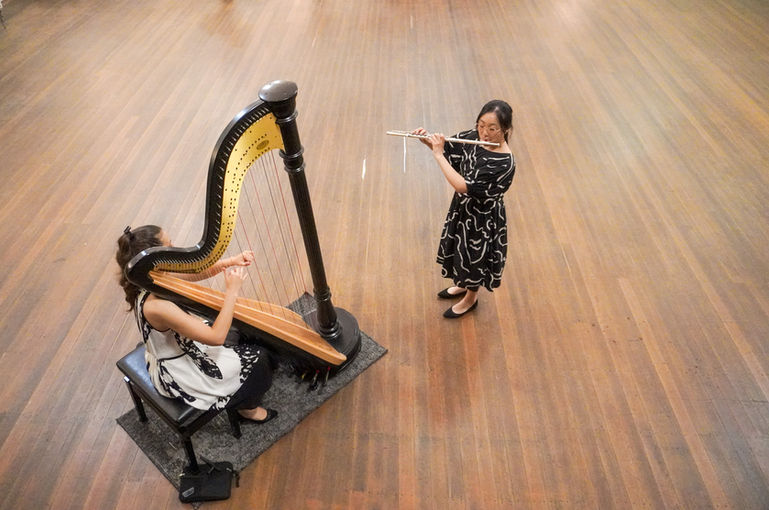 flute and harp, flute and harp duo 