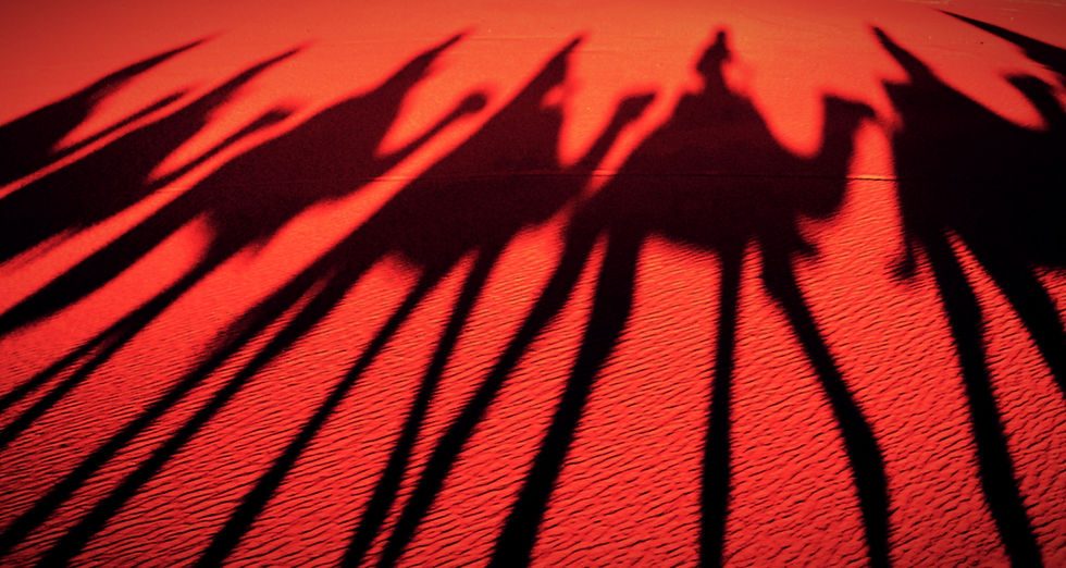 Ombre di dromedari nel deserto del Marocco