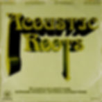 ACOUSTIC ROOTS.jpg