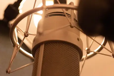Photograph showing the detail on a Neumann TLM 103 microphone