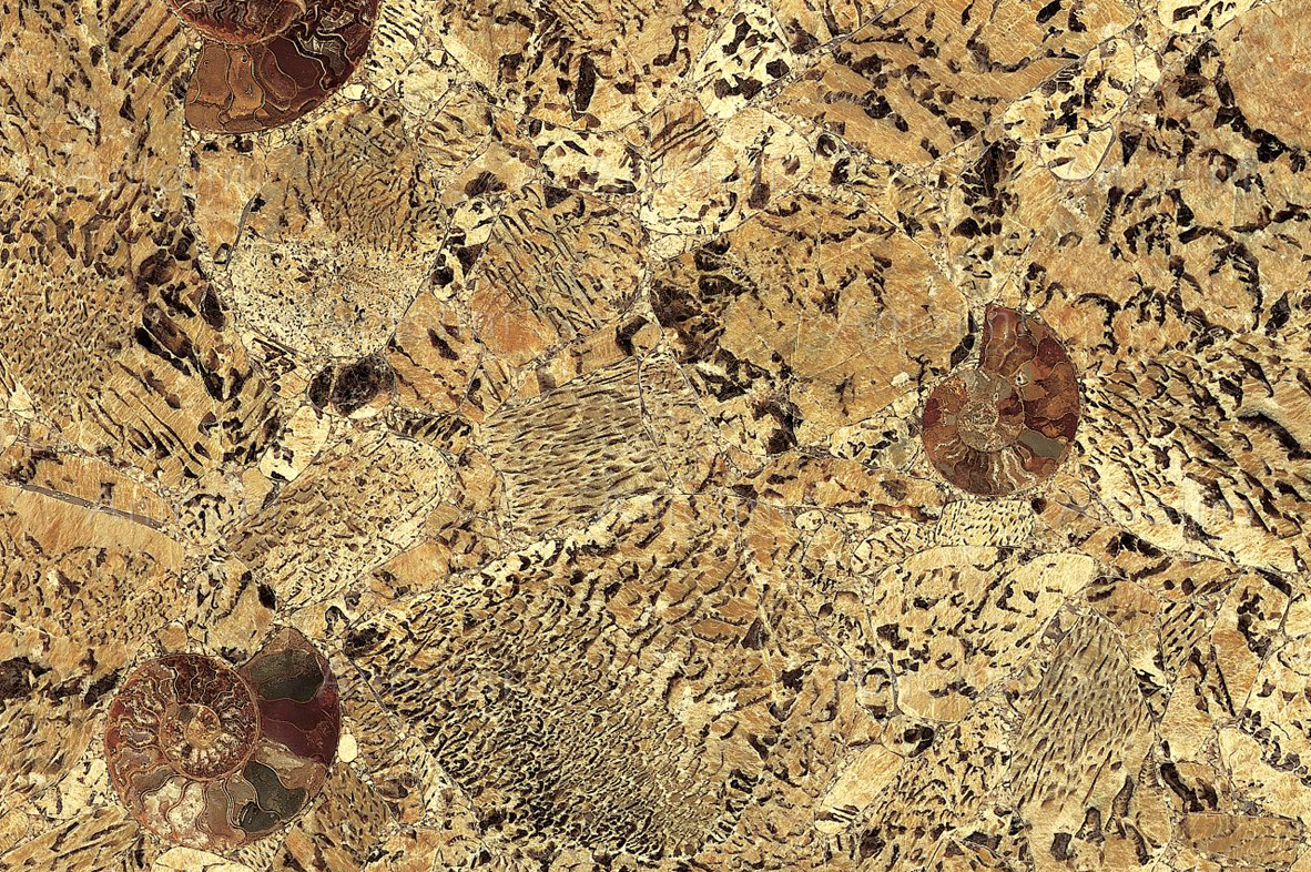 Graphic Feldspar.png