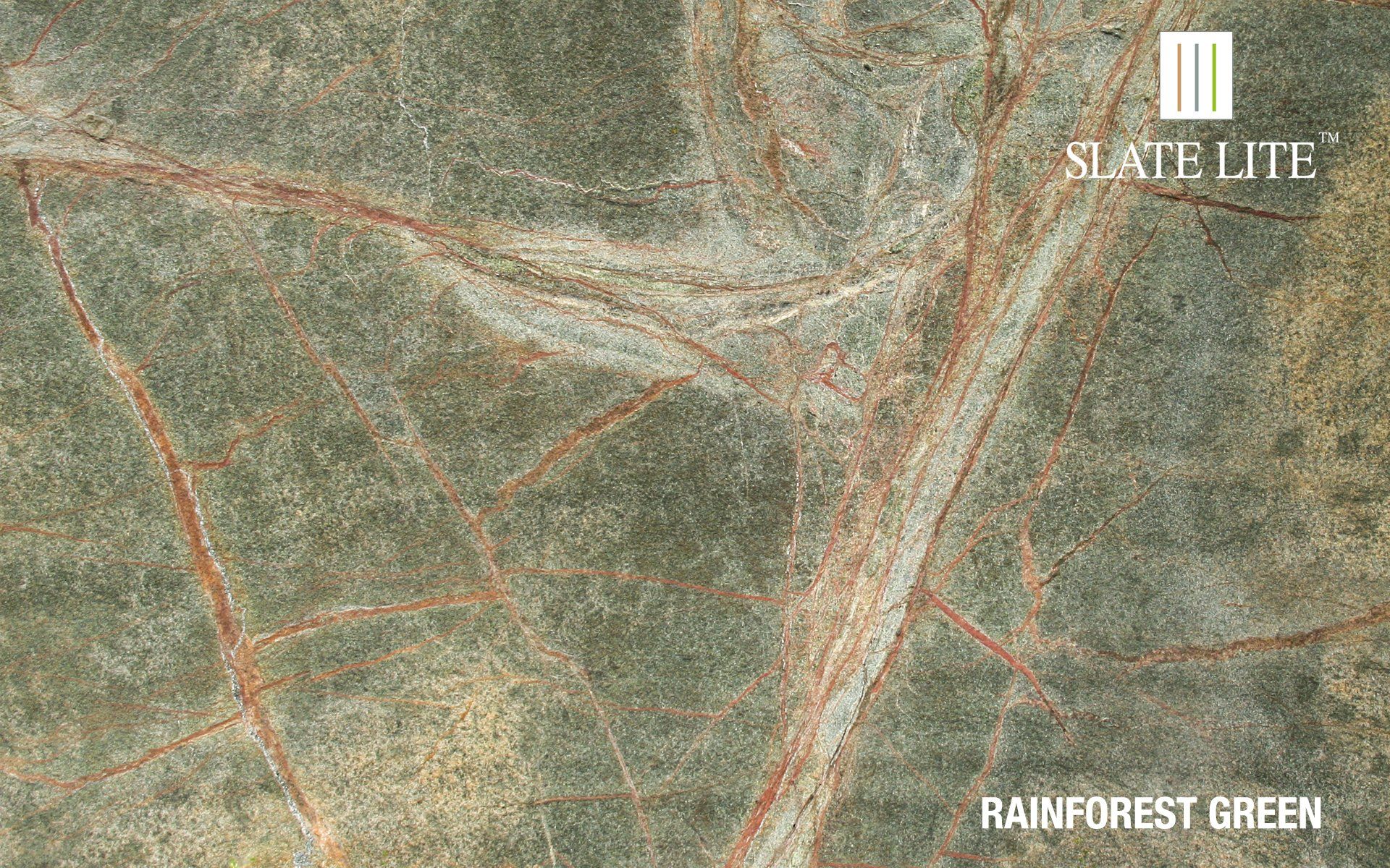 rainforestgreen01.jpg