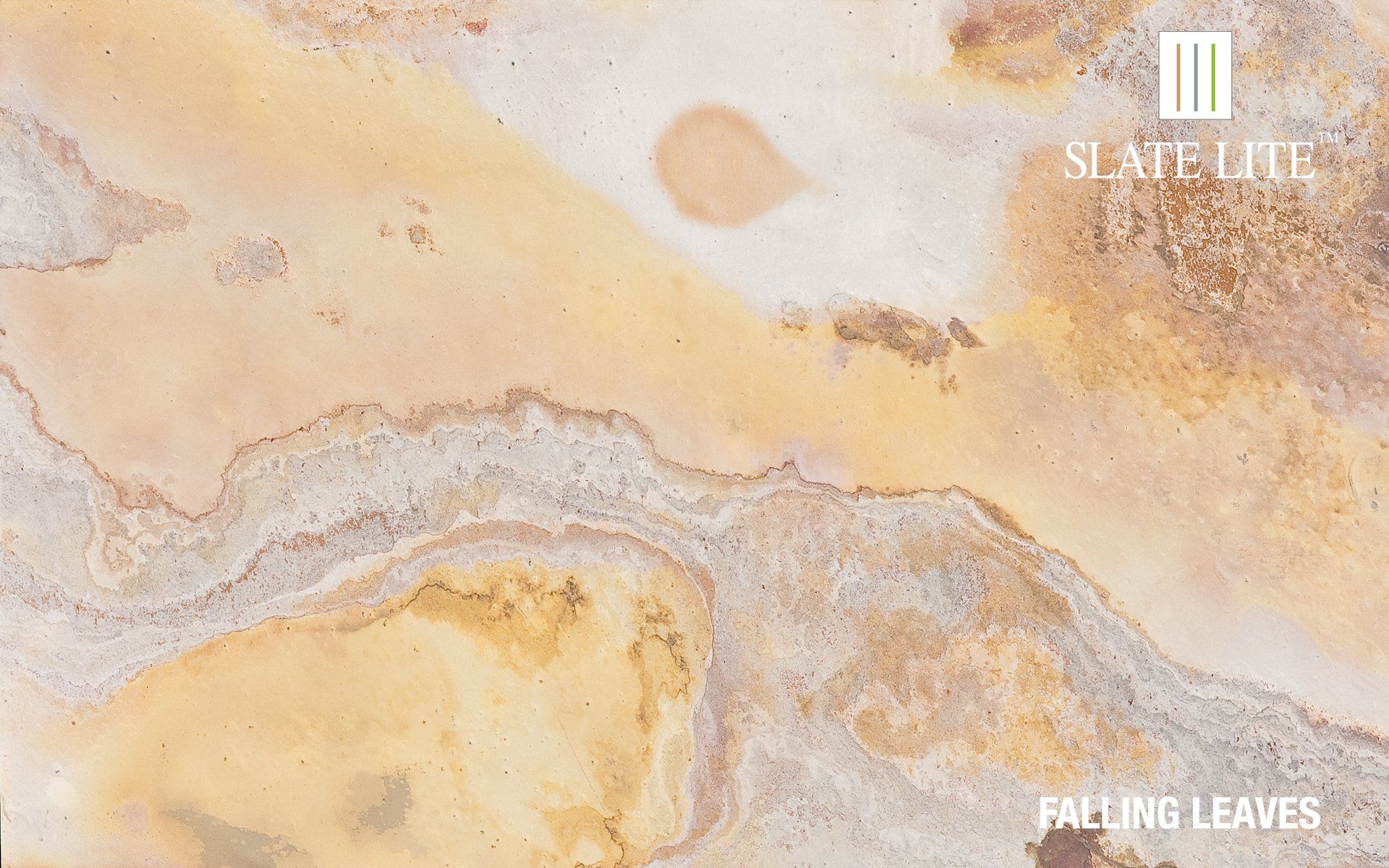 fallingleaves01.jpg