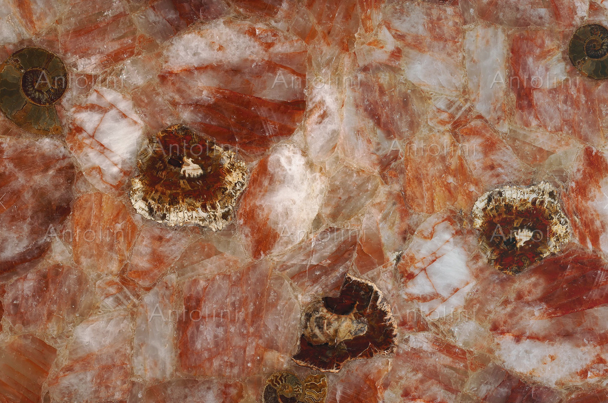 Fossilized Haematoid Quartz.png