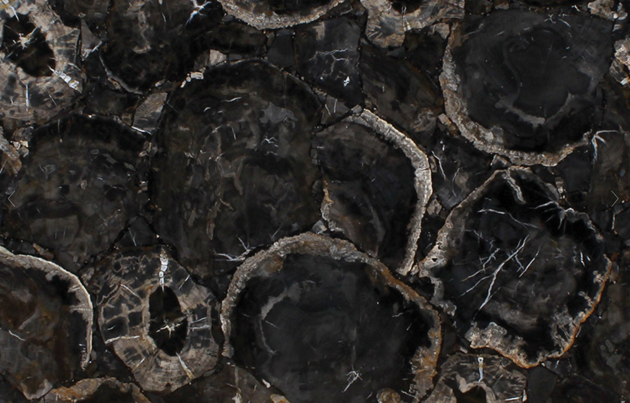Grey Petrified Wood.png