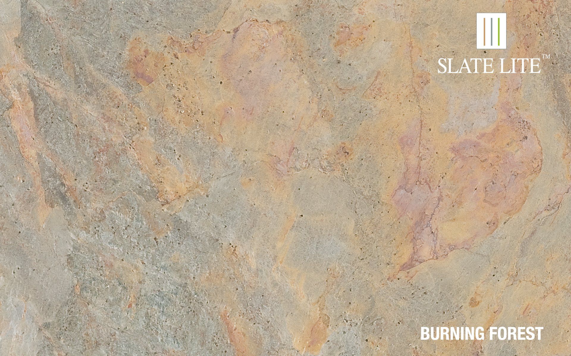 burningforest01.jpg