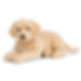 peluche-chien-golden-labrador-60-cm-3496