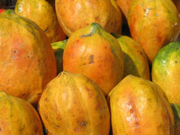 1184idea99papaya.jpg
