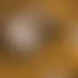 Gai Kamal mehendi Banarasi tissue saree with brocade blouse fabric for wedding wear