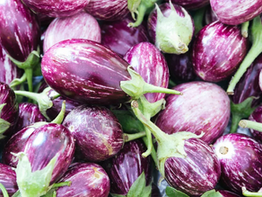 eggplant-1296x728-header.webp