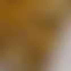 Mehendi Matsya Rekha pure Banarasi tissue saree with brocade blouse by RV Couture 24