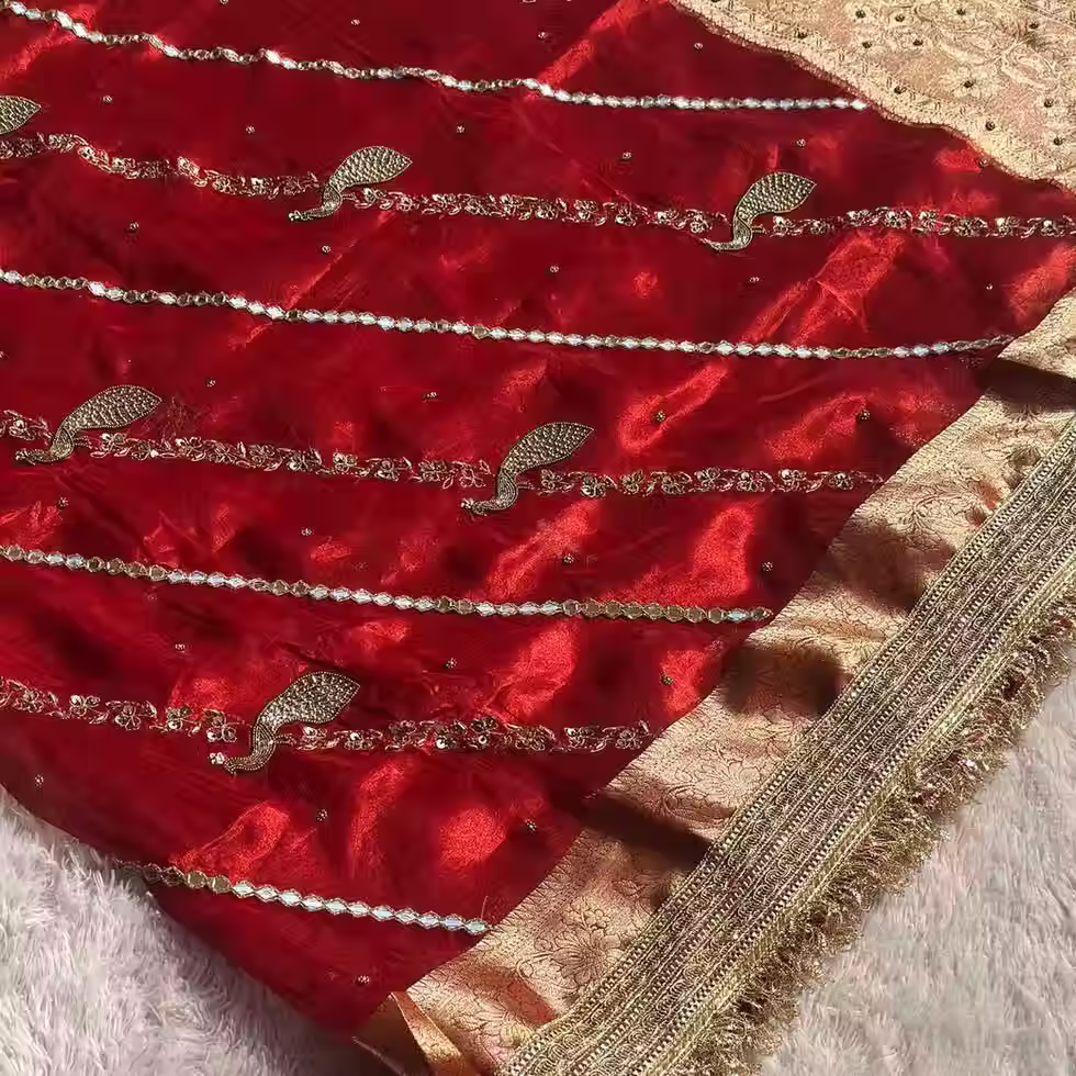 Deep red Rajrani pure Banarasi tissue saree by RV Couture 24